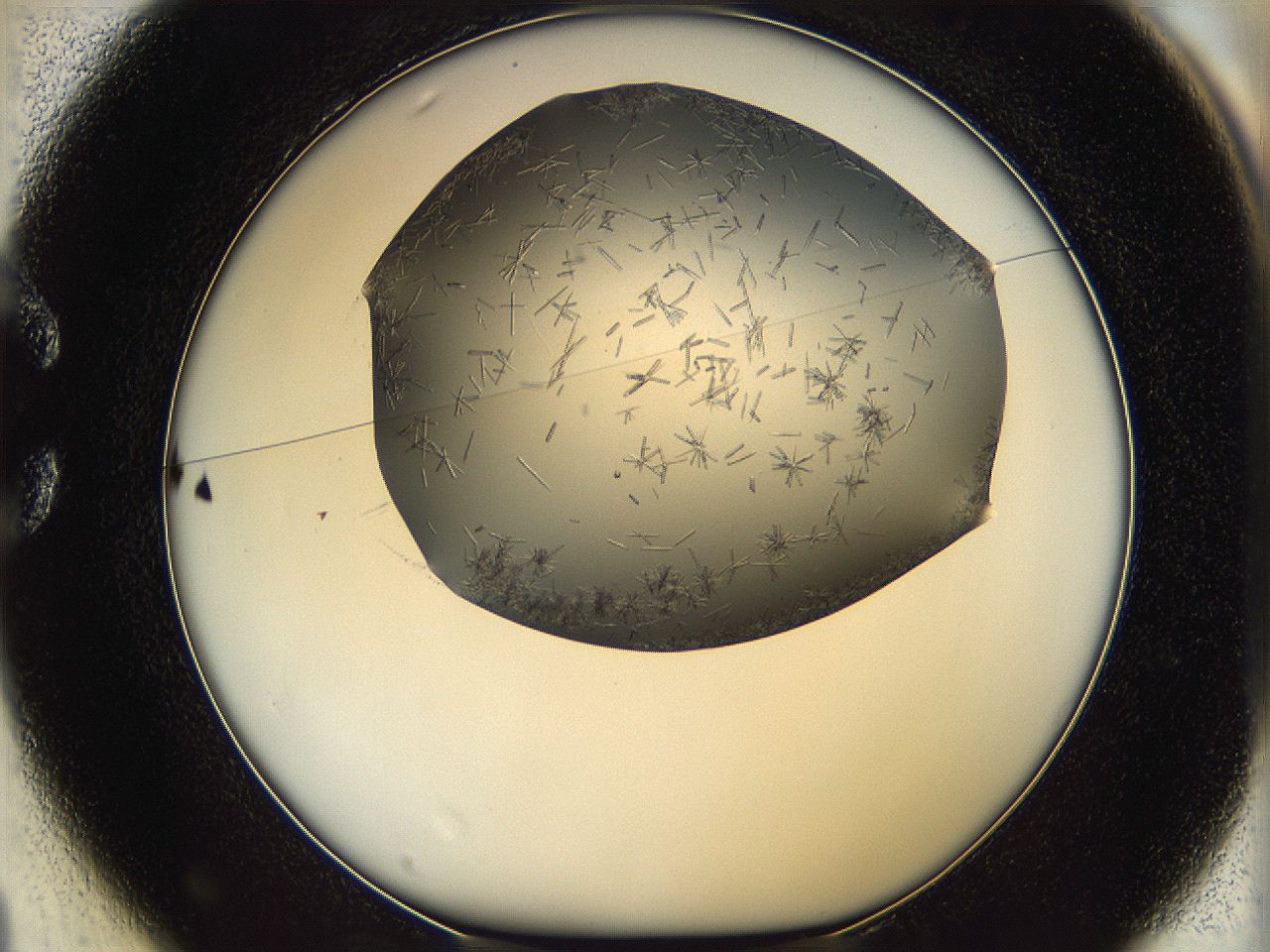 05m2_C1_ImagerDefaults_7.jpg