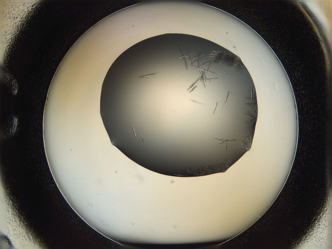 05m2_C2_ImagerDefaults_6.jpg