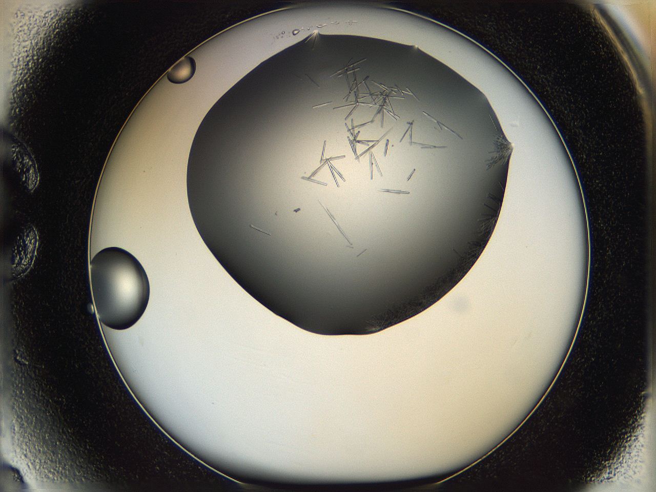 05m2_C3_ImagerDefaults_6.jpg