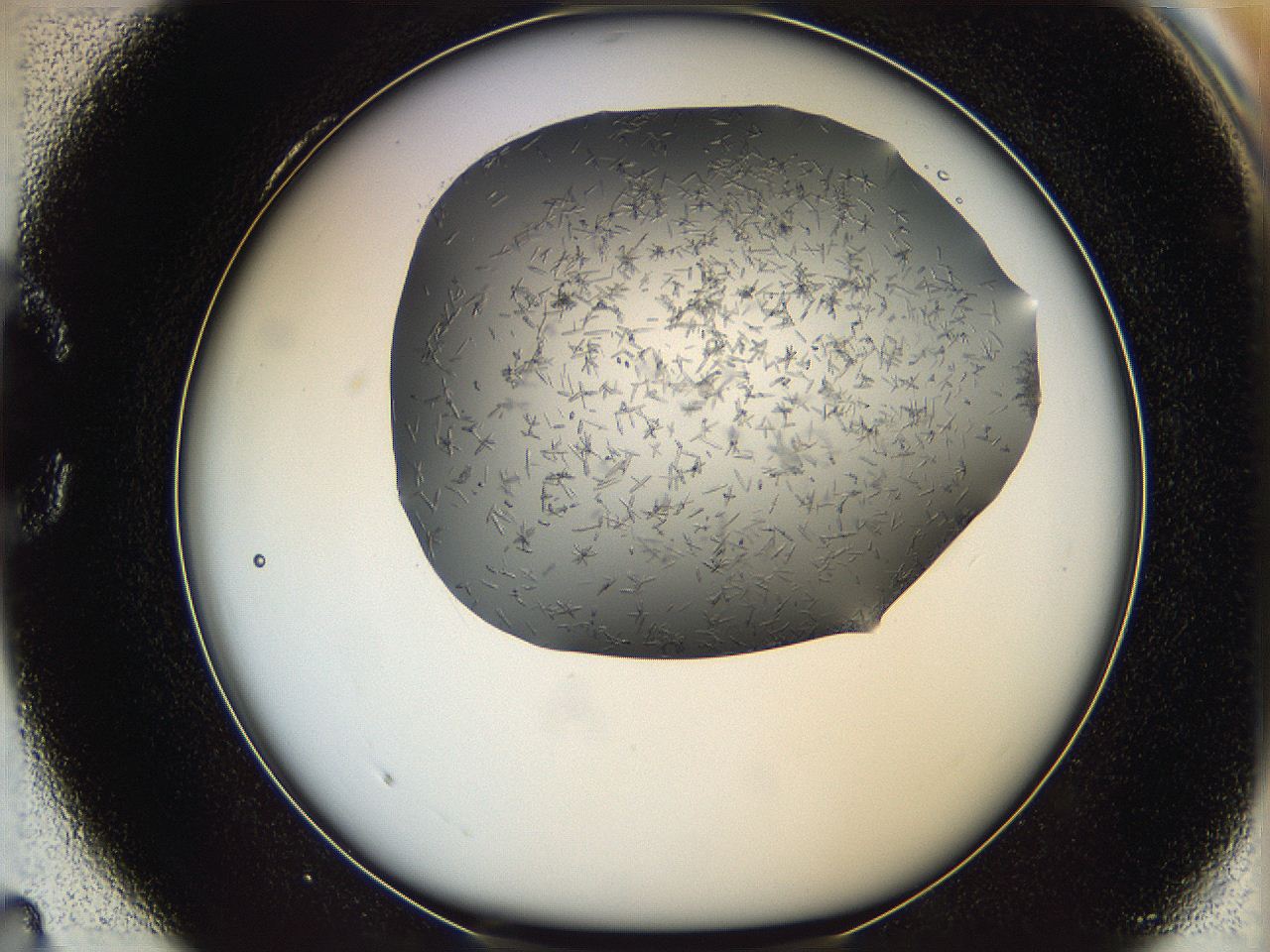 05m2_C4_ImagerDefaults_7.jpg