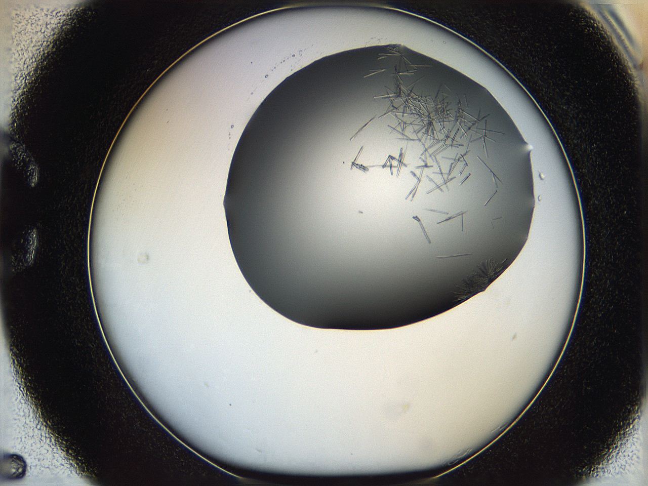 05m2_C5_ImagerDefaults_6.jpg