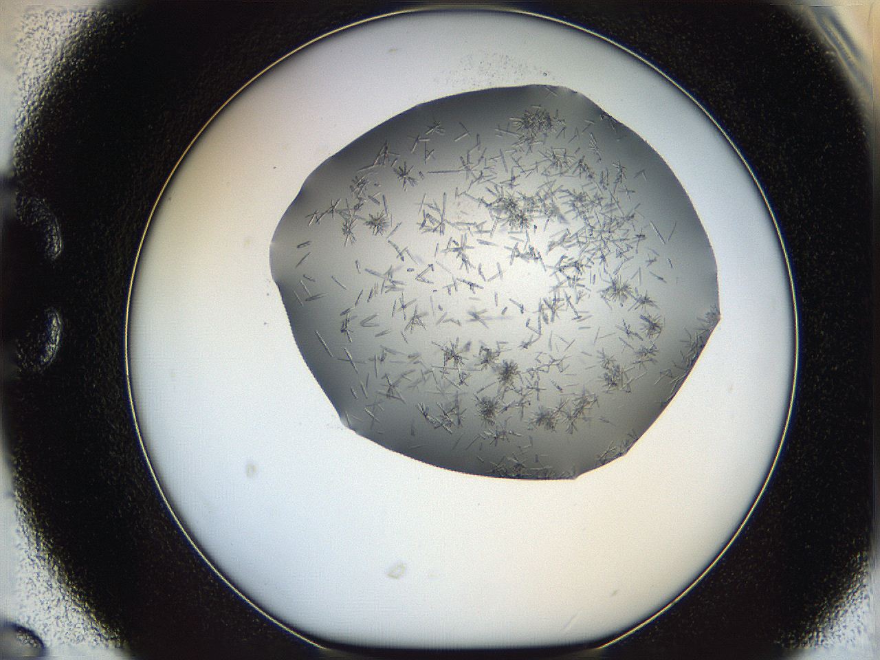 05m2_C6_ImagerDefaults_7.jpg