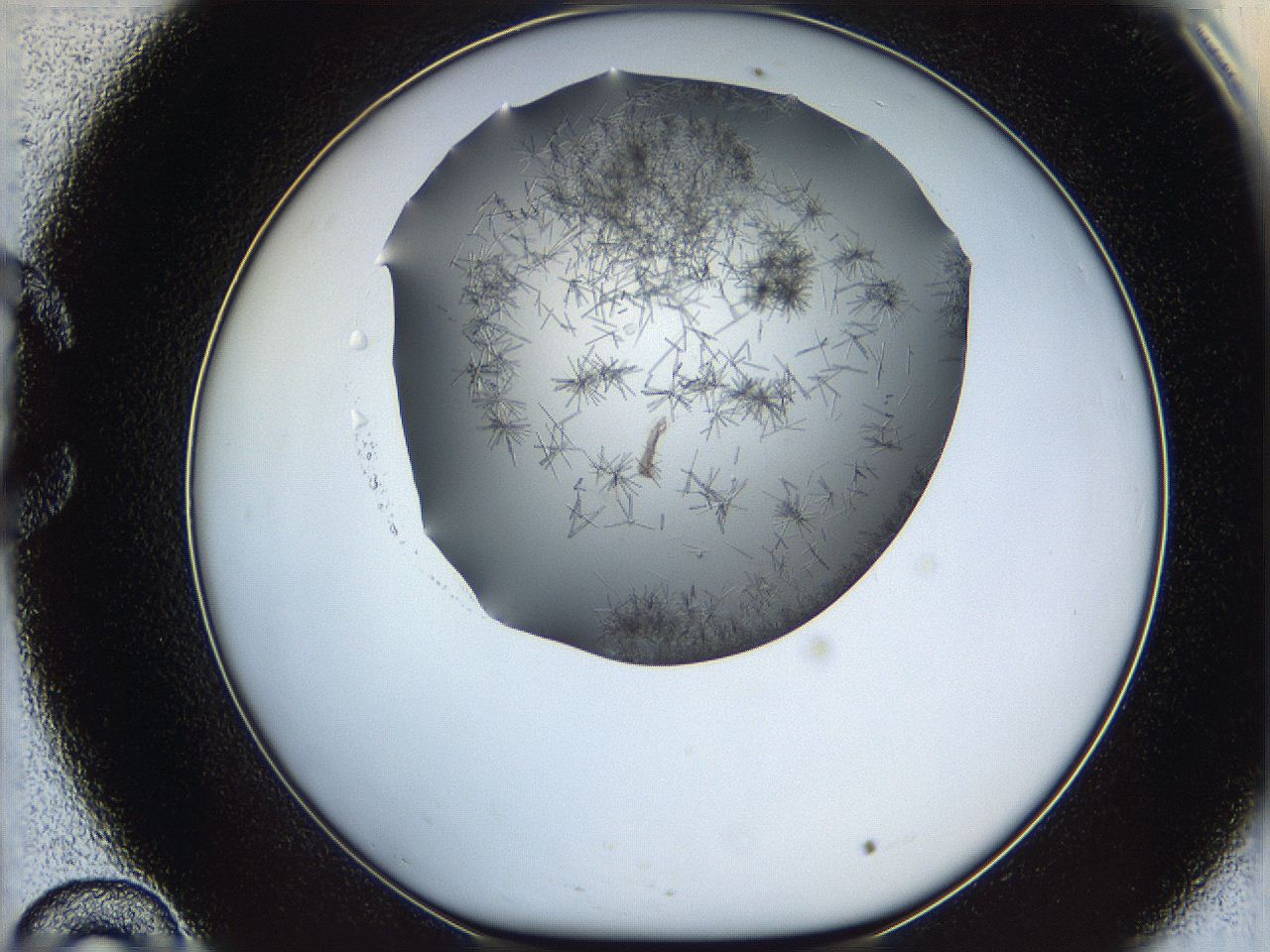 05m2_C10_ImagerDefaults_7.jpg