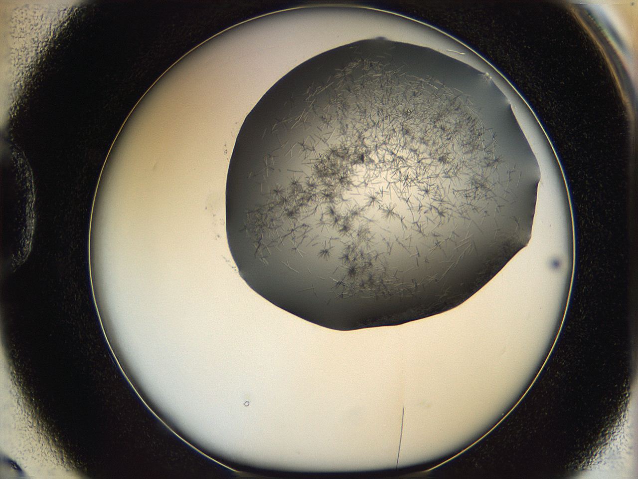 05m2_D2_ImagerDefaults_7.jpg