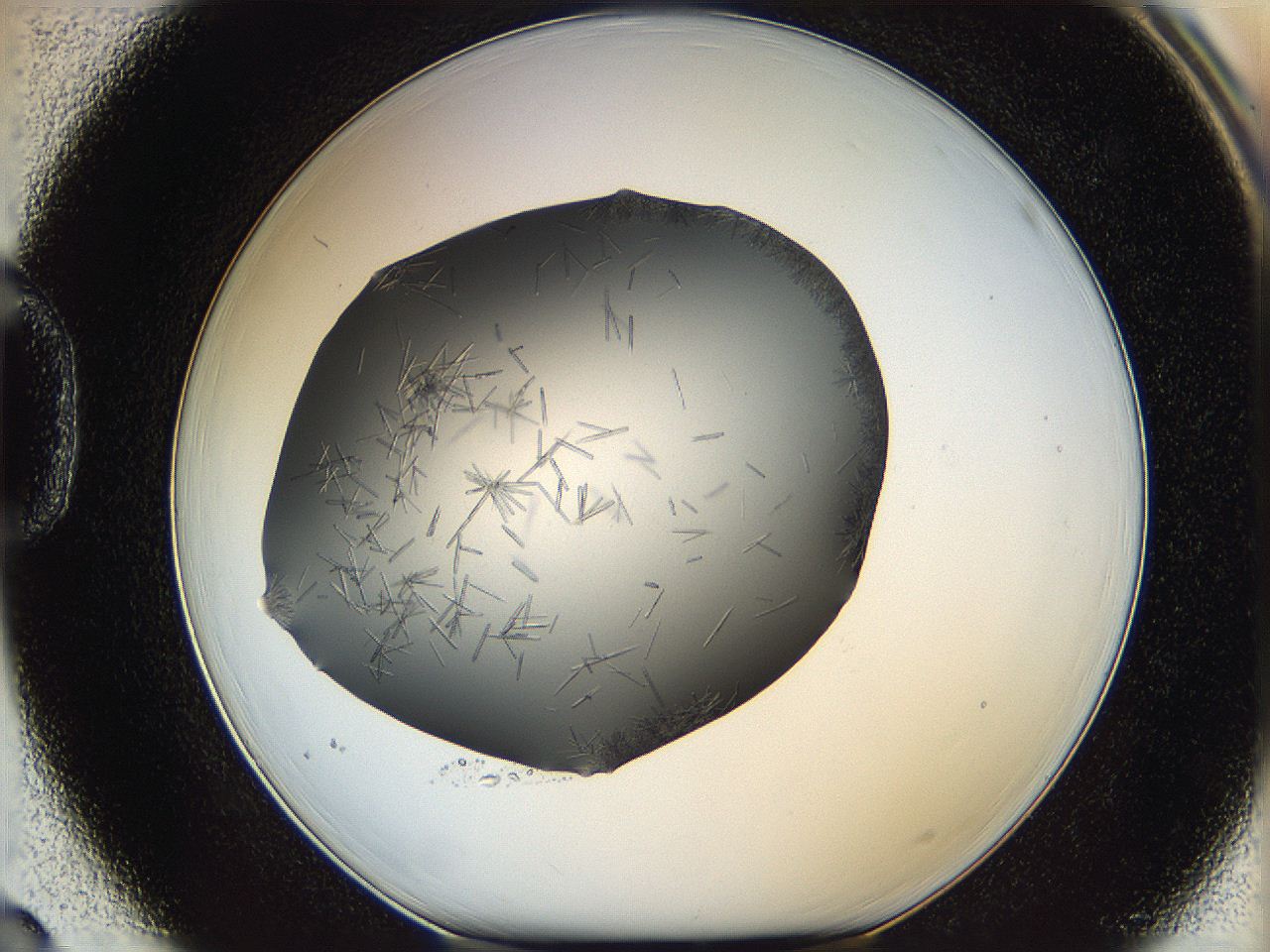 05m2_D3_ImagerDefaults_7.jpg