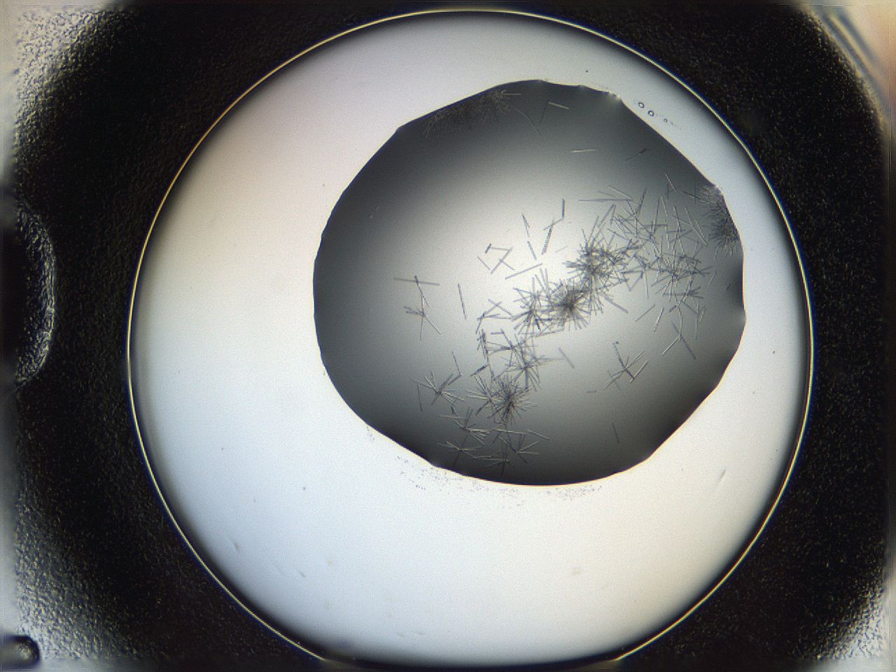 05m2_D5_ImagerDefaults_6.jpg