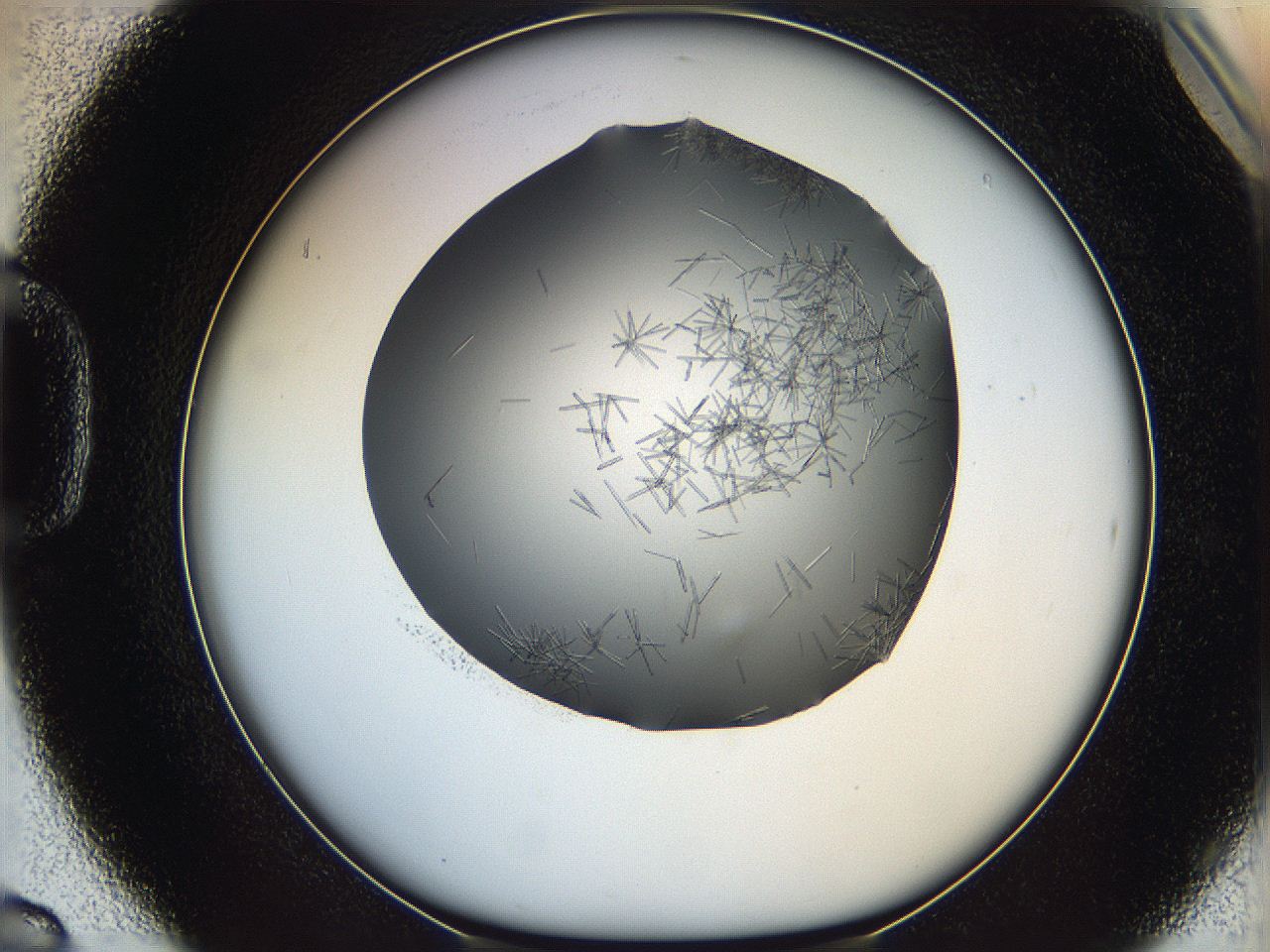 05m2_D6_ImagerDefaults_7.jpg