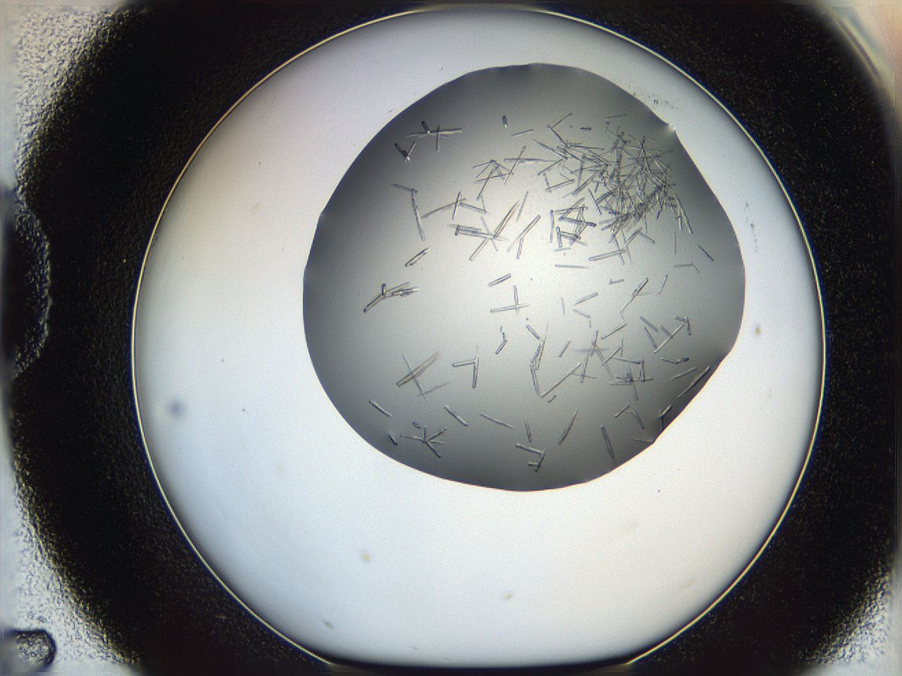 05m2_D7_ImagerDefaults_7.jpg