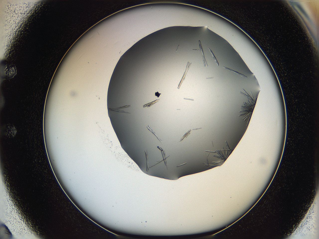 05m2_E2_ImagerDefaults_8.jpg