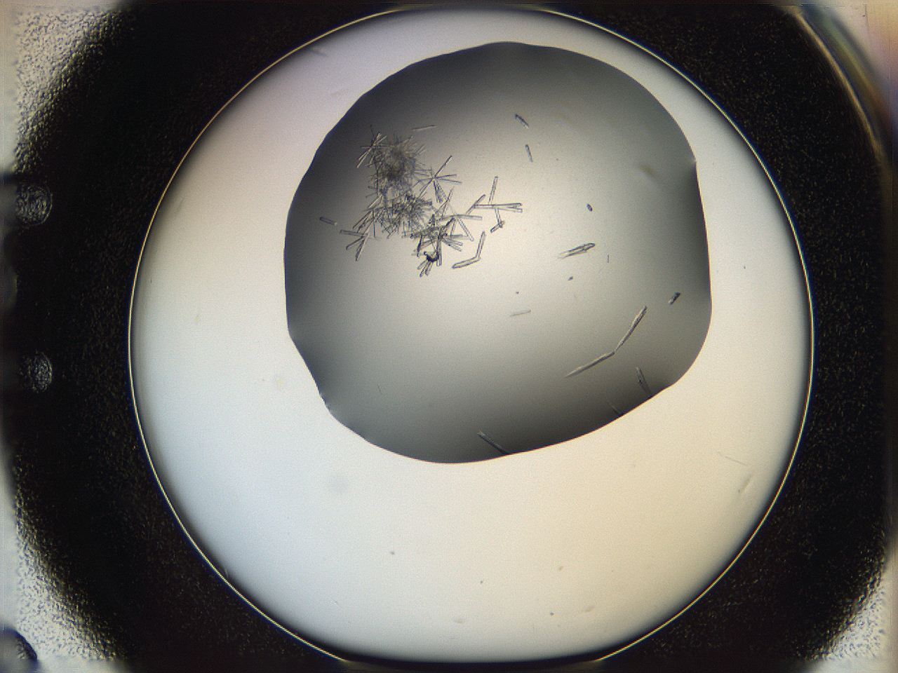 05m2_E3_ImagerDefaults_6.jpg