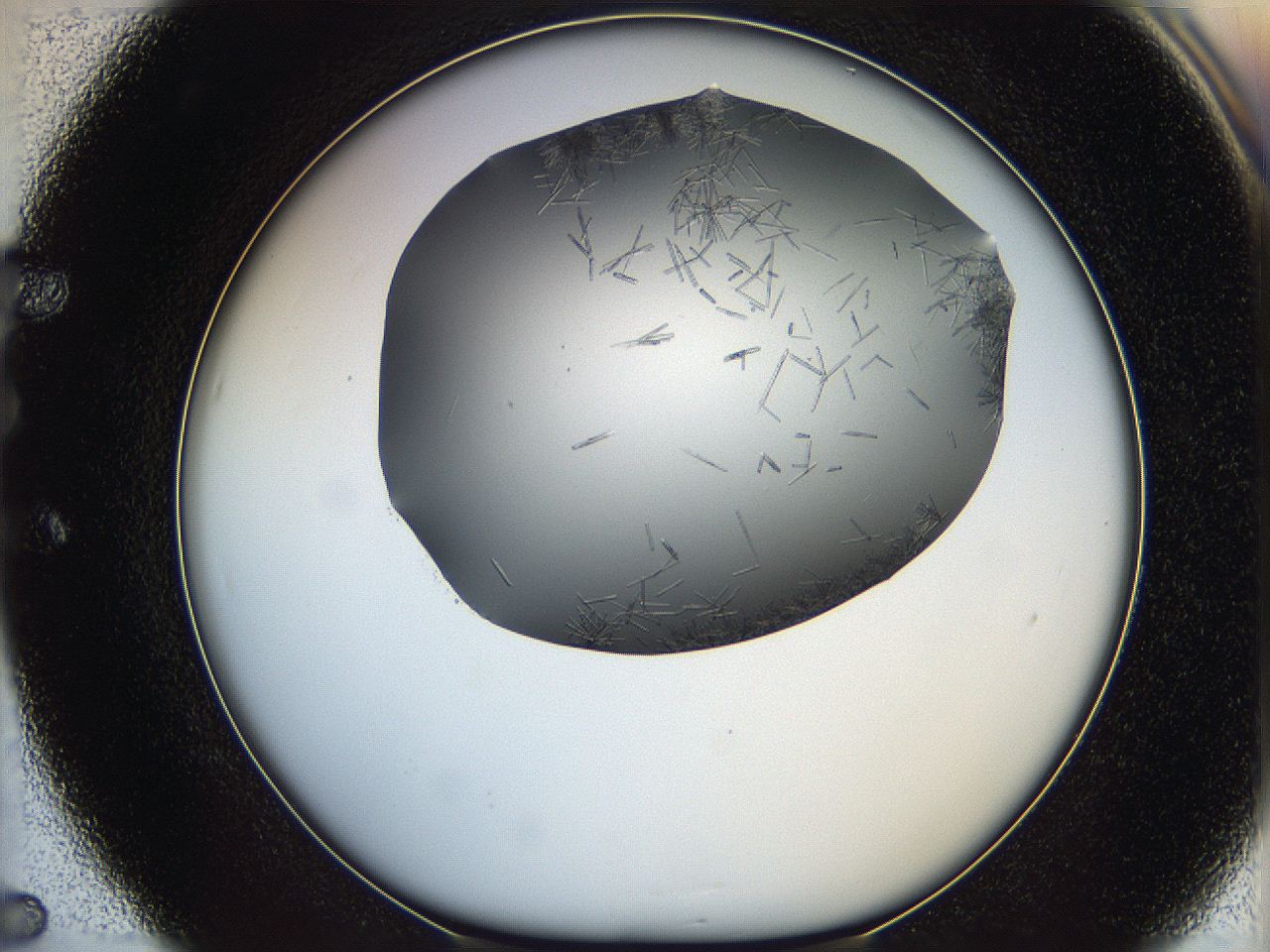 05m2_E5_ImagerDefaults_6.jpg