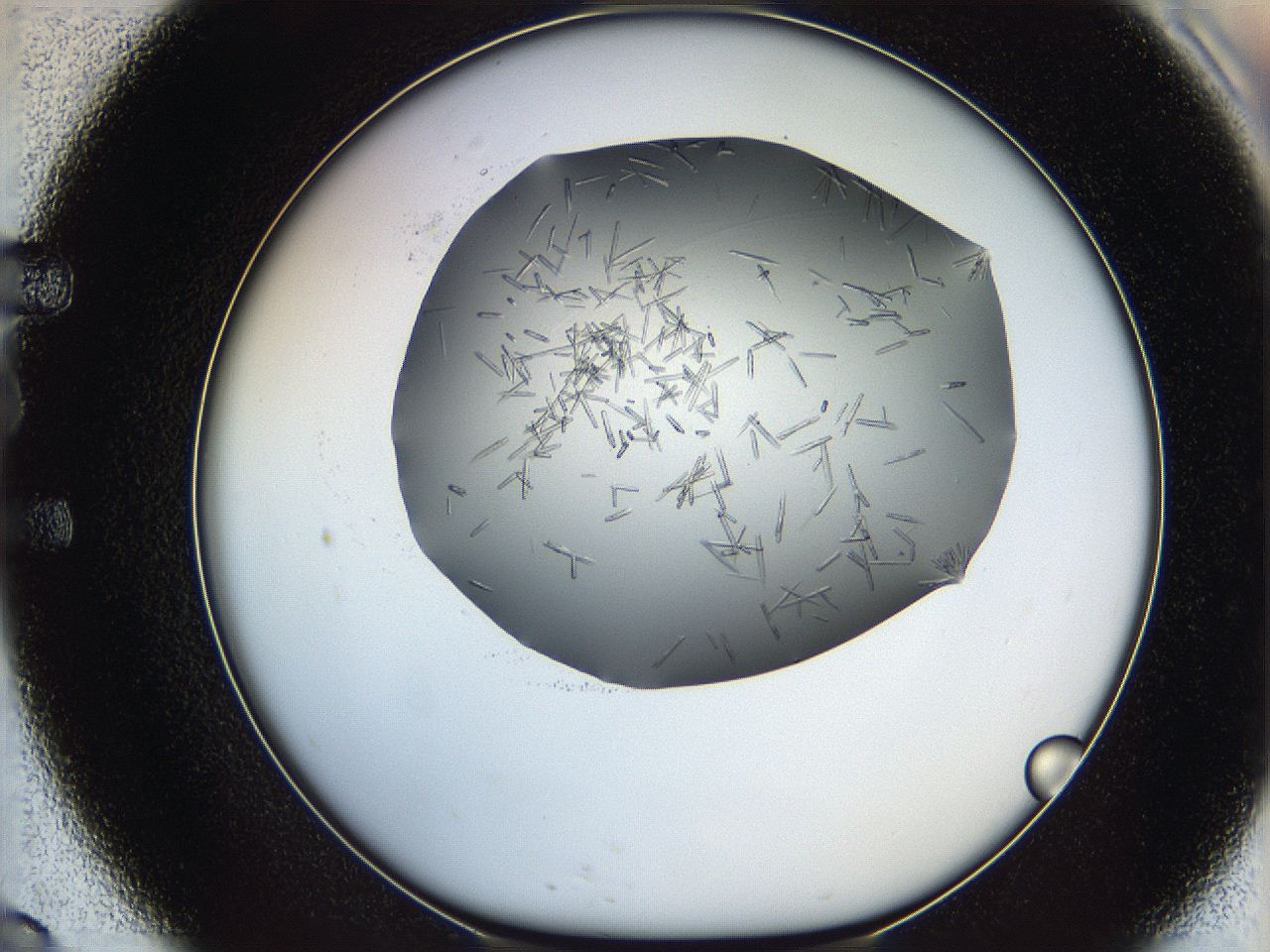 05m2_E9_ImagerDefaults_6.jpg
