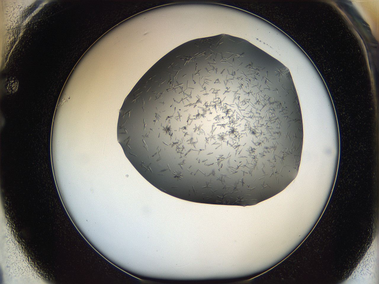 05m2_F1_ImagerDefaults_7.jpg