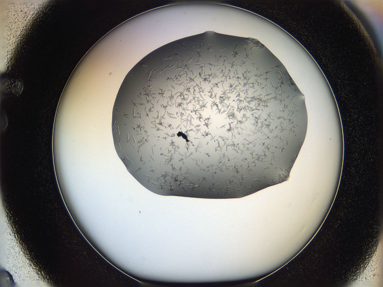 05m2_F3_ImagerDefaults_7.jpg