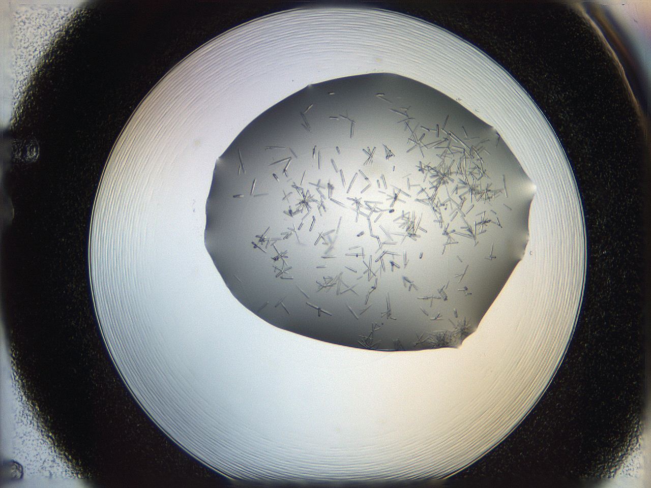05m2_F5_ImagerDefaults_7.jpg