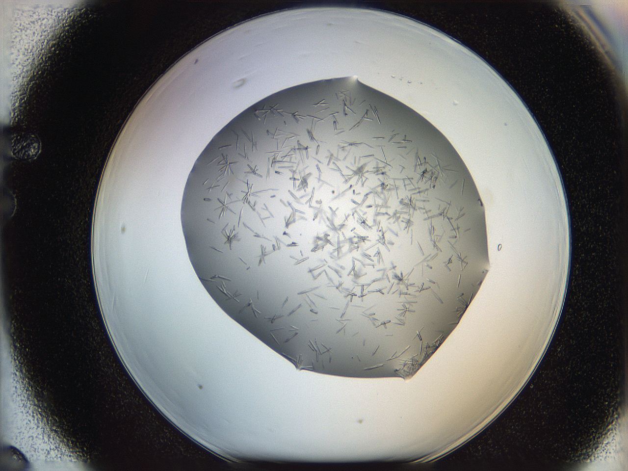 05m2_F6_ImagerDefaults_7.jpg
