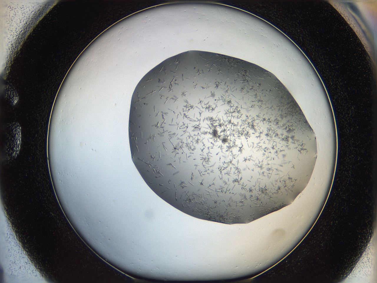 05m2_G1_ImagerDefaults_7.jpg