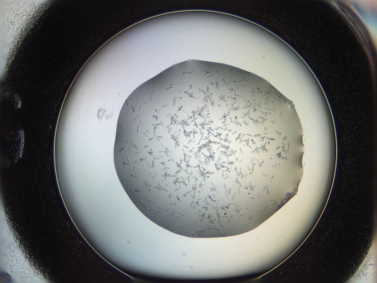 05m2_G4_ImagerDefaults_6.jpg