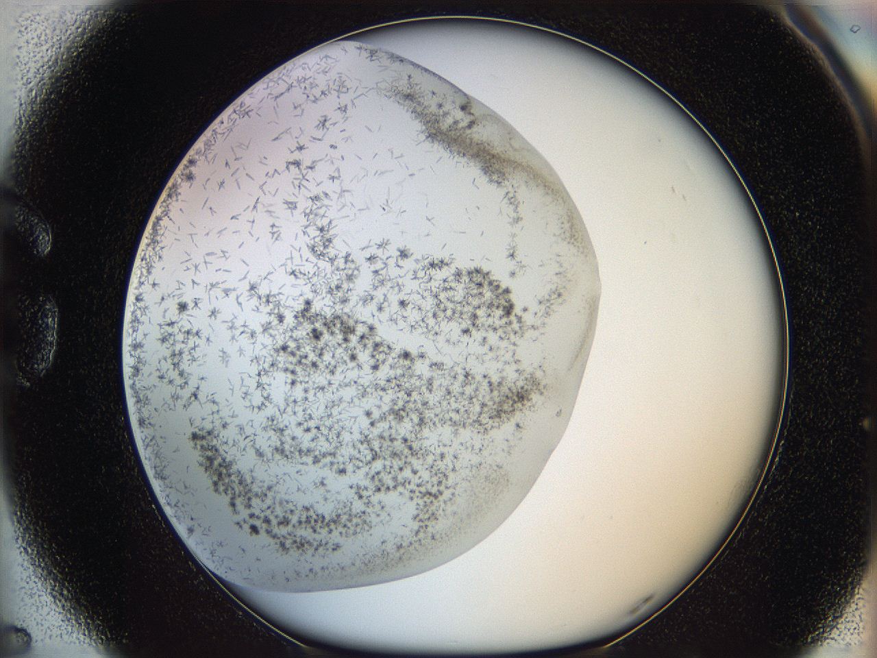 05m2_G5_ImagerDefaults_6.jpg