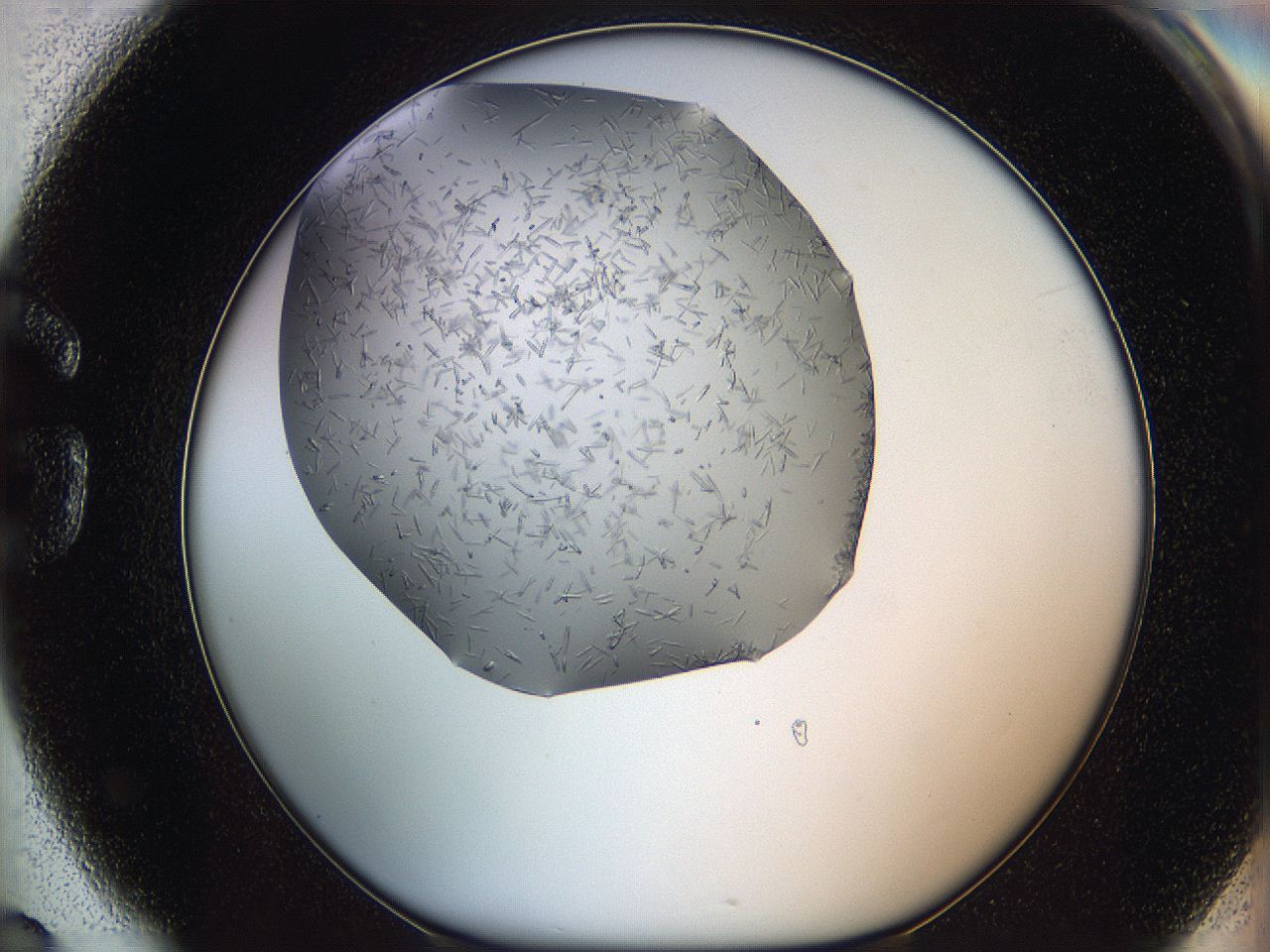 05m2_G6_ImagerDefaults_6.jpg