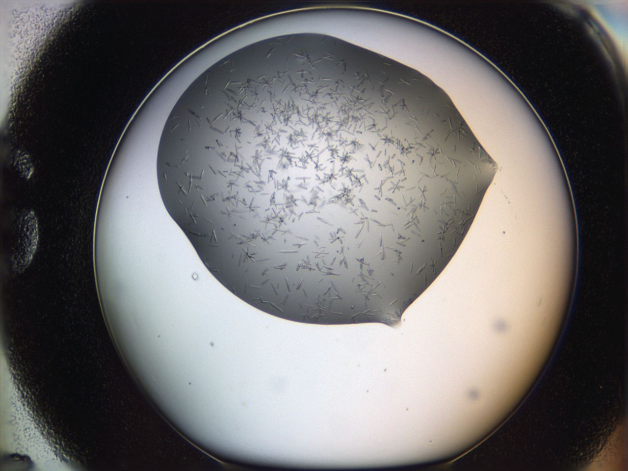 05m2_G7_ImagerDefaults_7.jpg