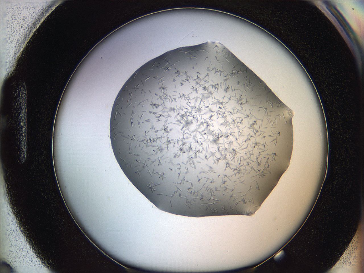 05m2_H3_ImagerDefaults_7.jpg