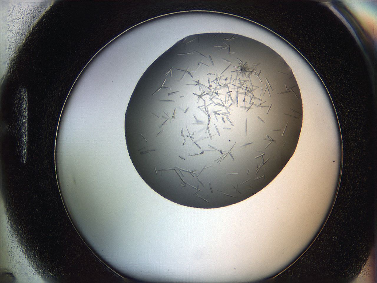 05m2_H5_ImagerDefaults_6.jpg