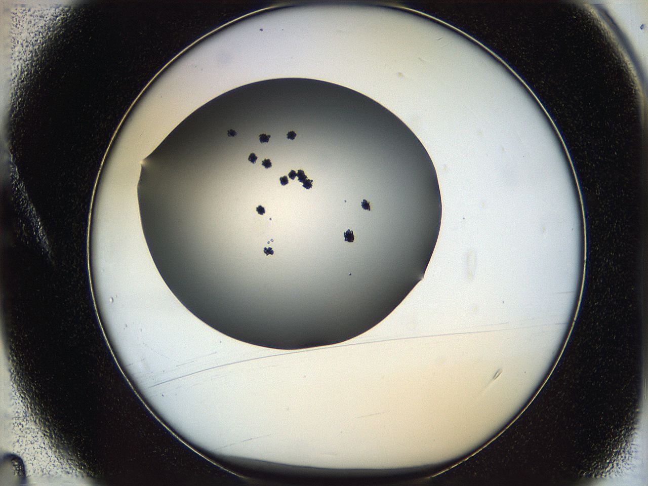 05m3_A4_ImagerDefaults_8.jpg