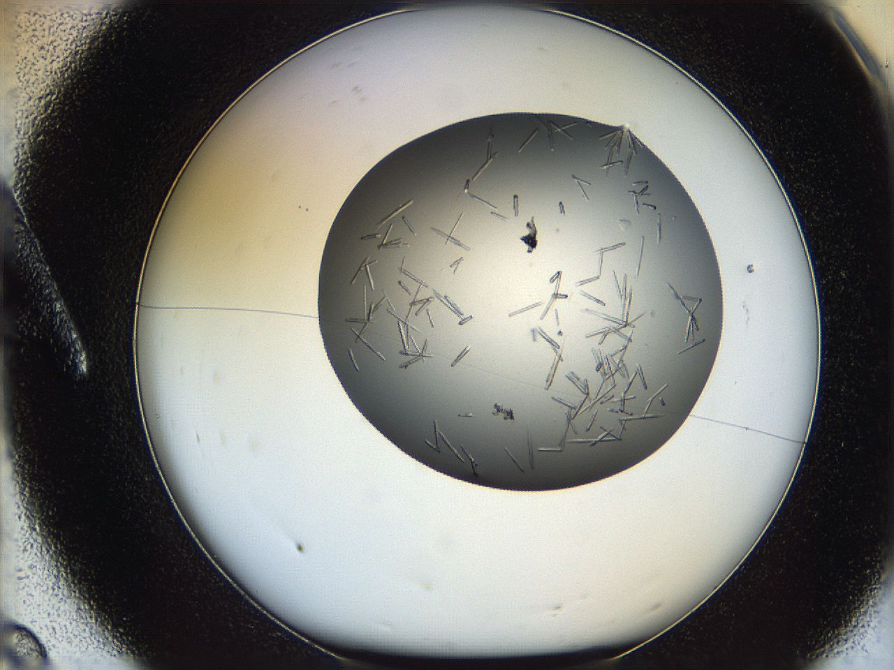 05m3_A8_ImagerDefaults_7.jpg