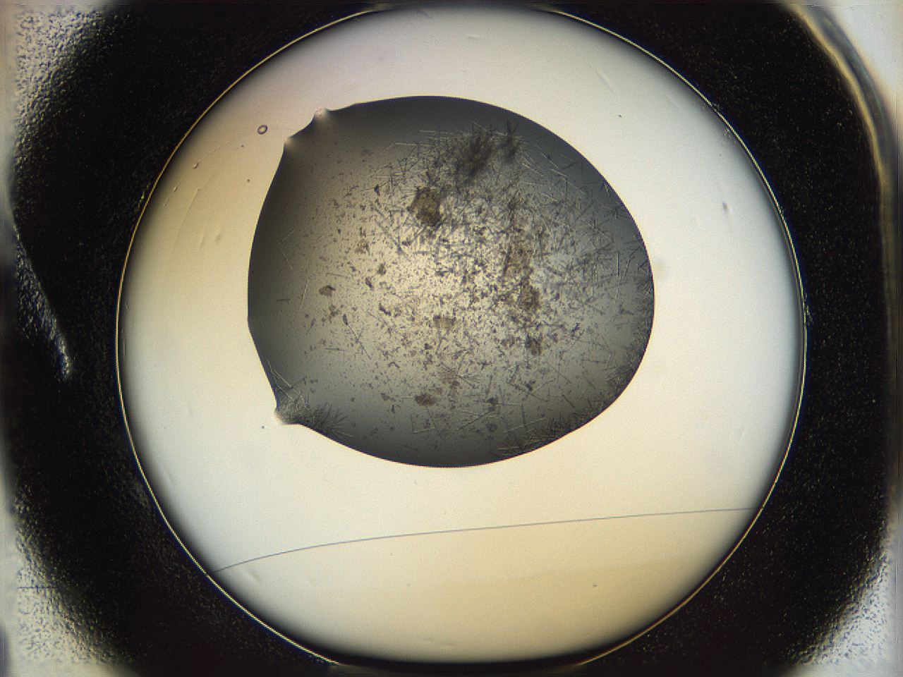 05m3_A1_ImagerDefaults_6.jpg