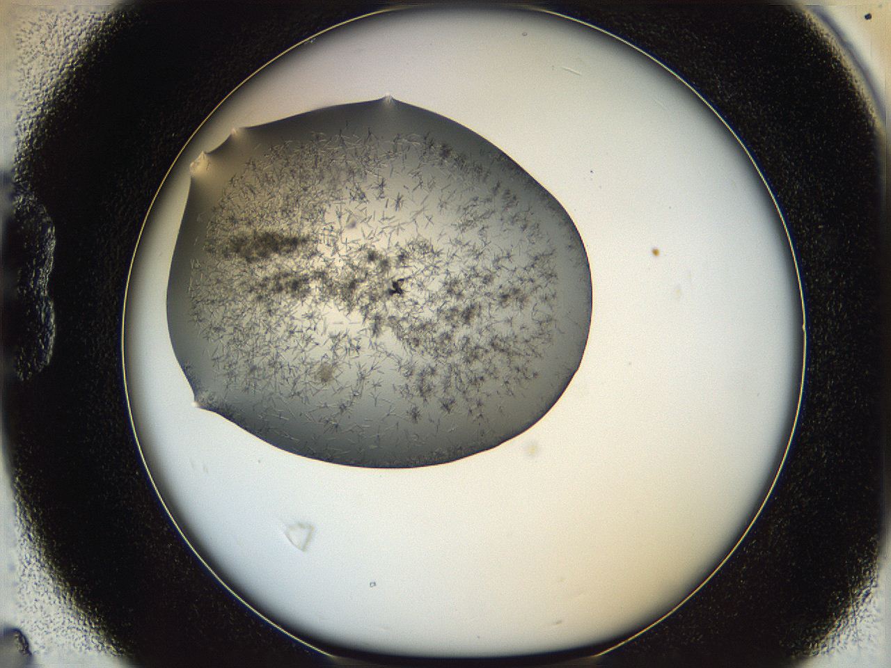 05m3_B4_ImagerDefaults_6.jpg