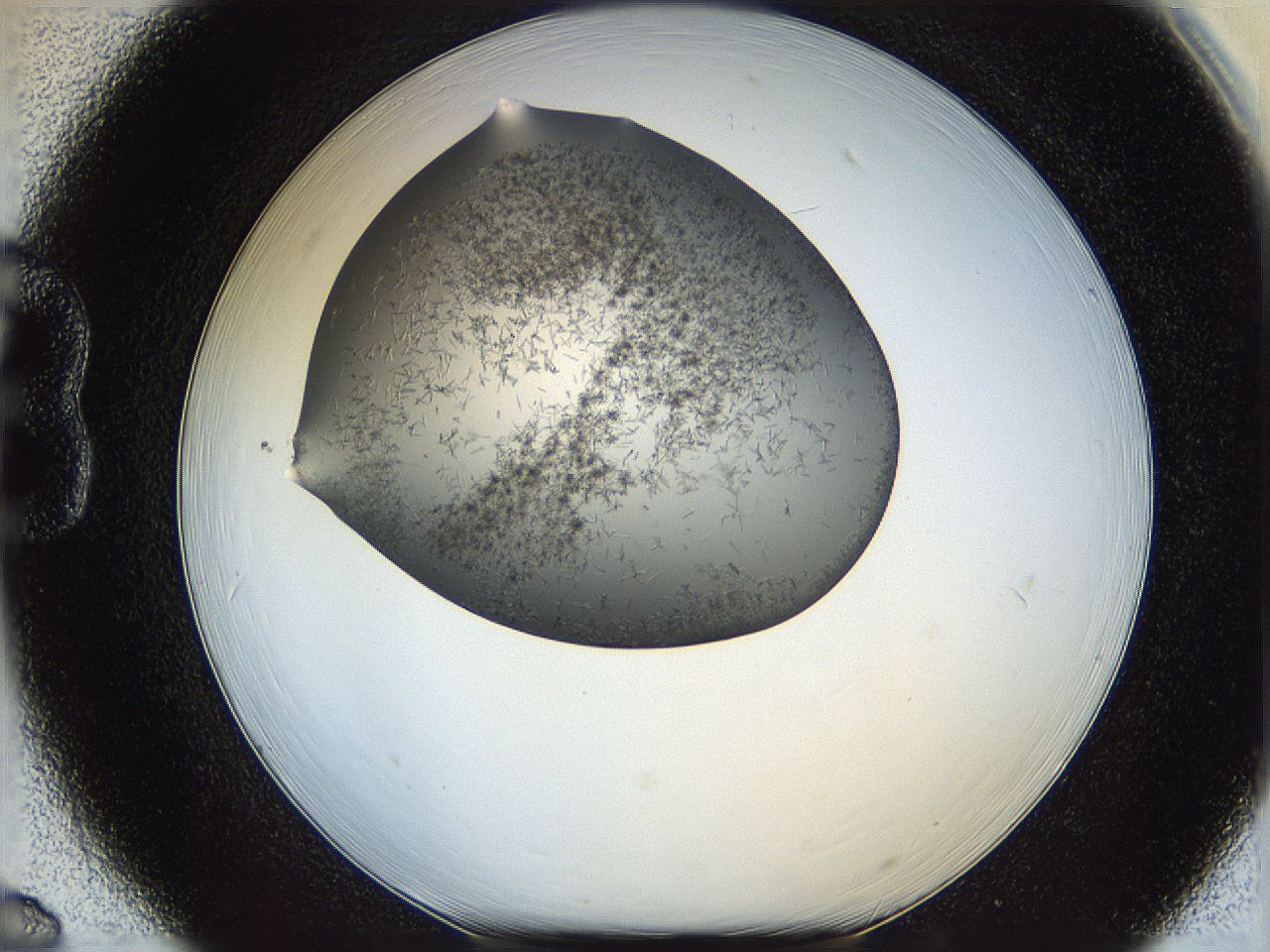 05m3_B6_ImagerDefaults_6.jpg