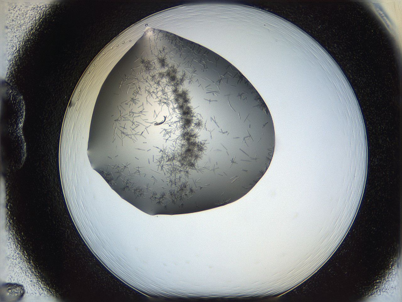 05m3_B7_ImagerDefaults_7.jpg
