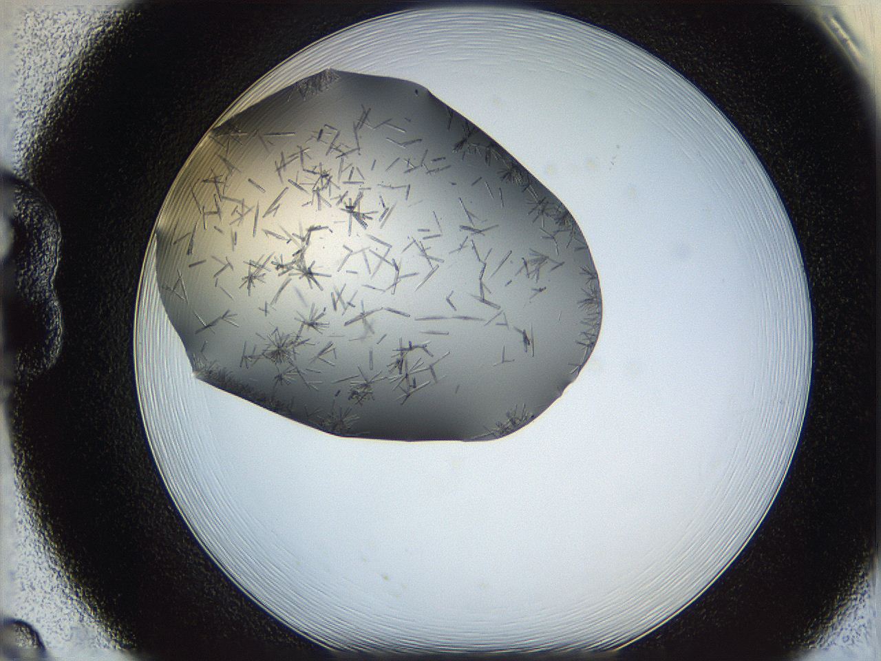 05m3_B8_ImagerDefaults_7.jpg