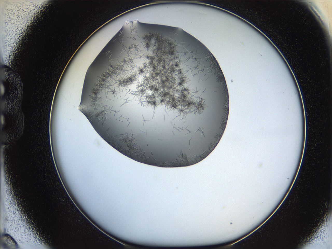 05m3_B9_ImagerDefaults_7.jpg