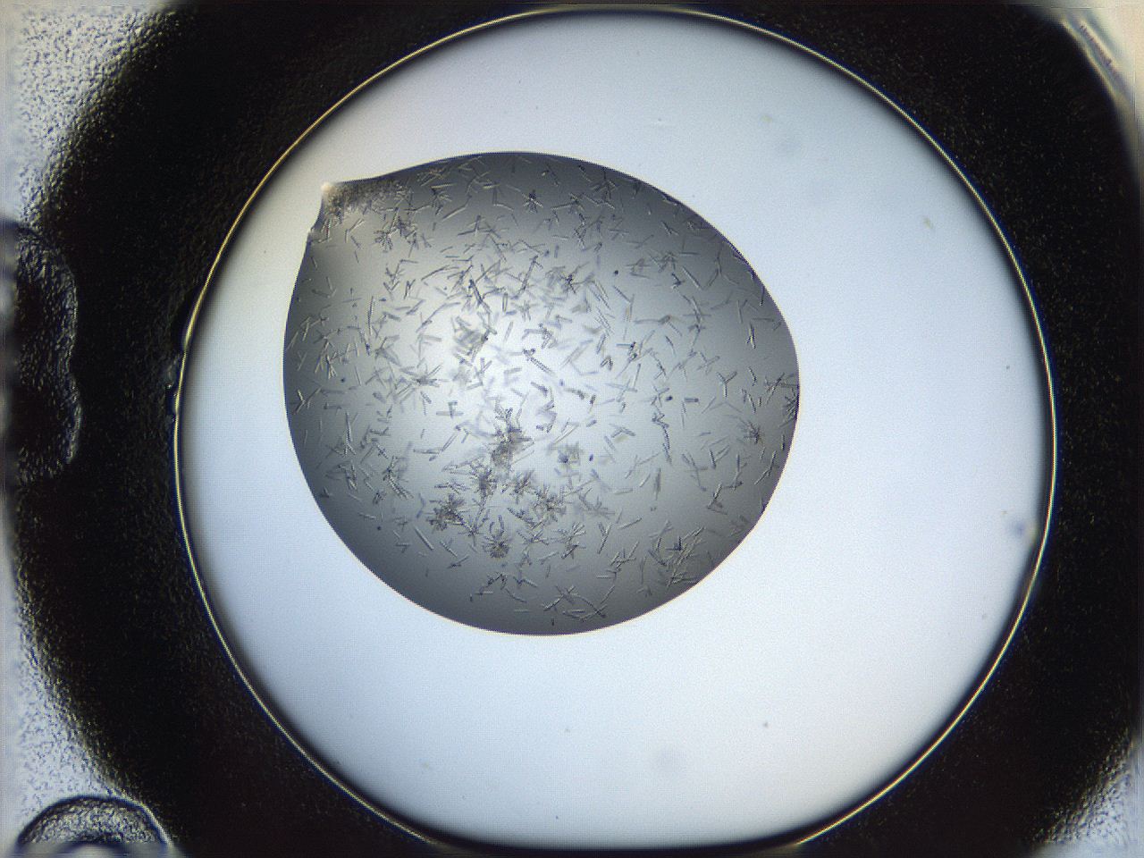 05m3_B10_ImagerDefaults_7.jpg