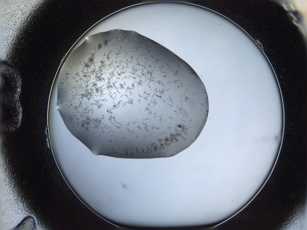 05m3_B11_ImagerDefaults_7.jpg