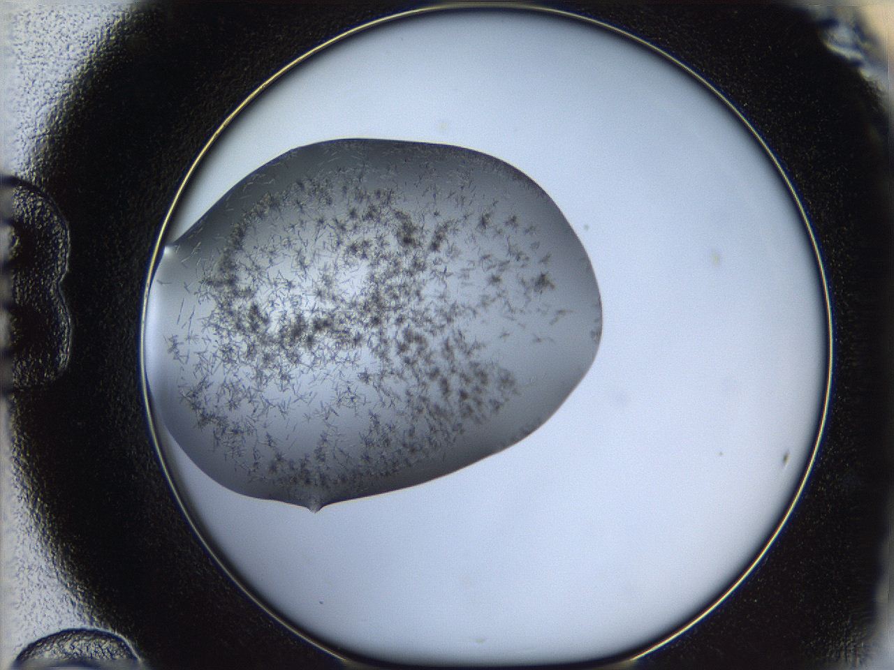05m3_B12_ImagerDefaults_6.jpg