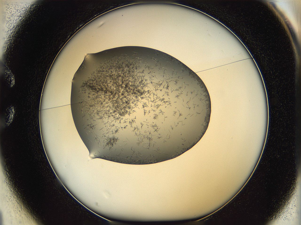 05m3_C1_ImagerDefaults_6.jpg