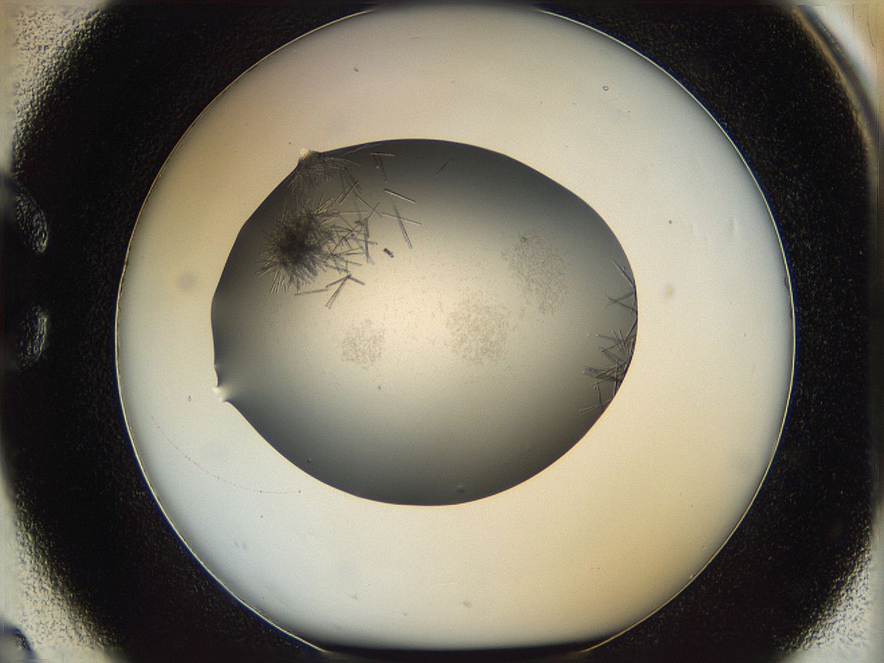 05m3_C2_ImagerDefaults_6.jpg