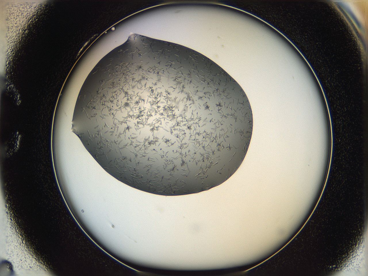 05m3_C4_ImagerDefaults_6.jpg