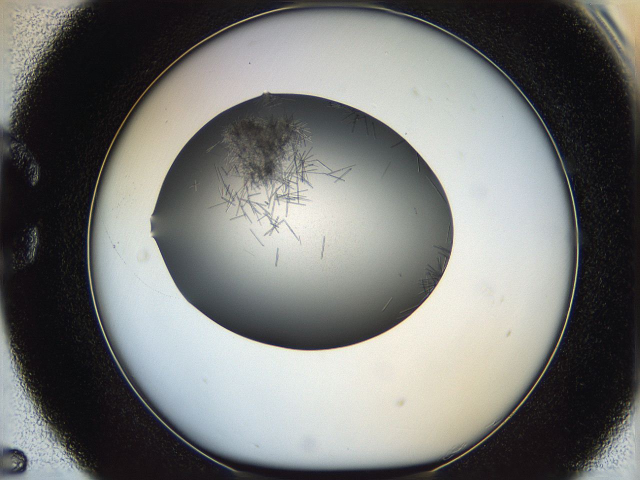 05m3_C5_ImagerDefaults_6.jpg