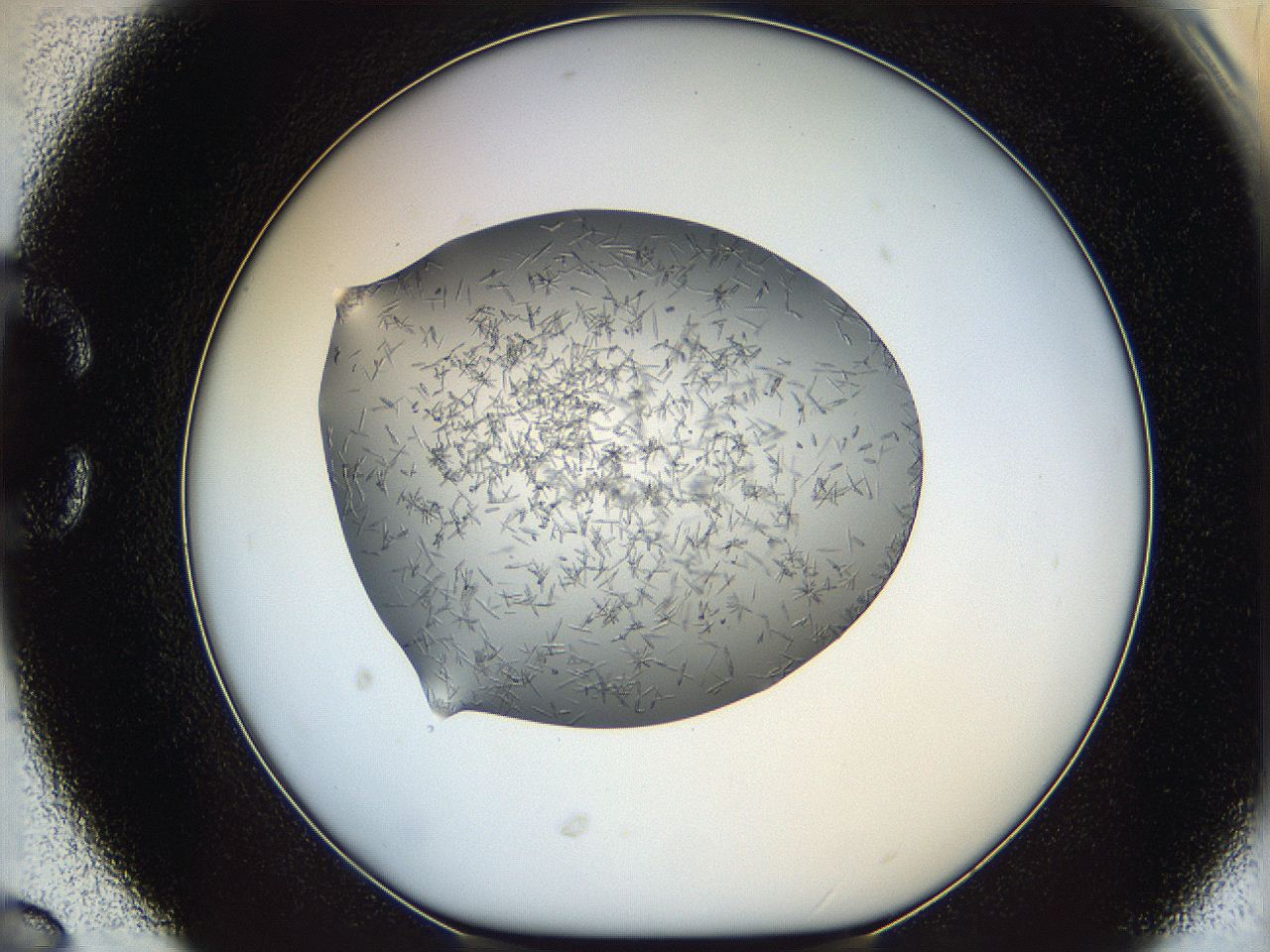 05m3_C6_ImagerDefaults_6.jpg