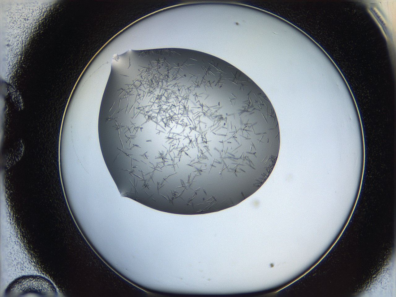 05m3_C10_ImagerDefaults_7.jpg