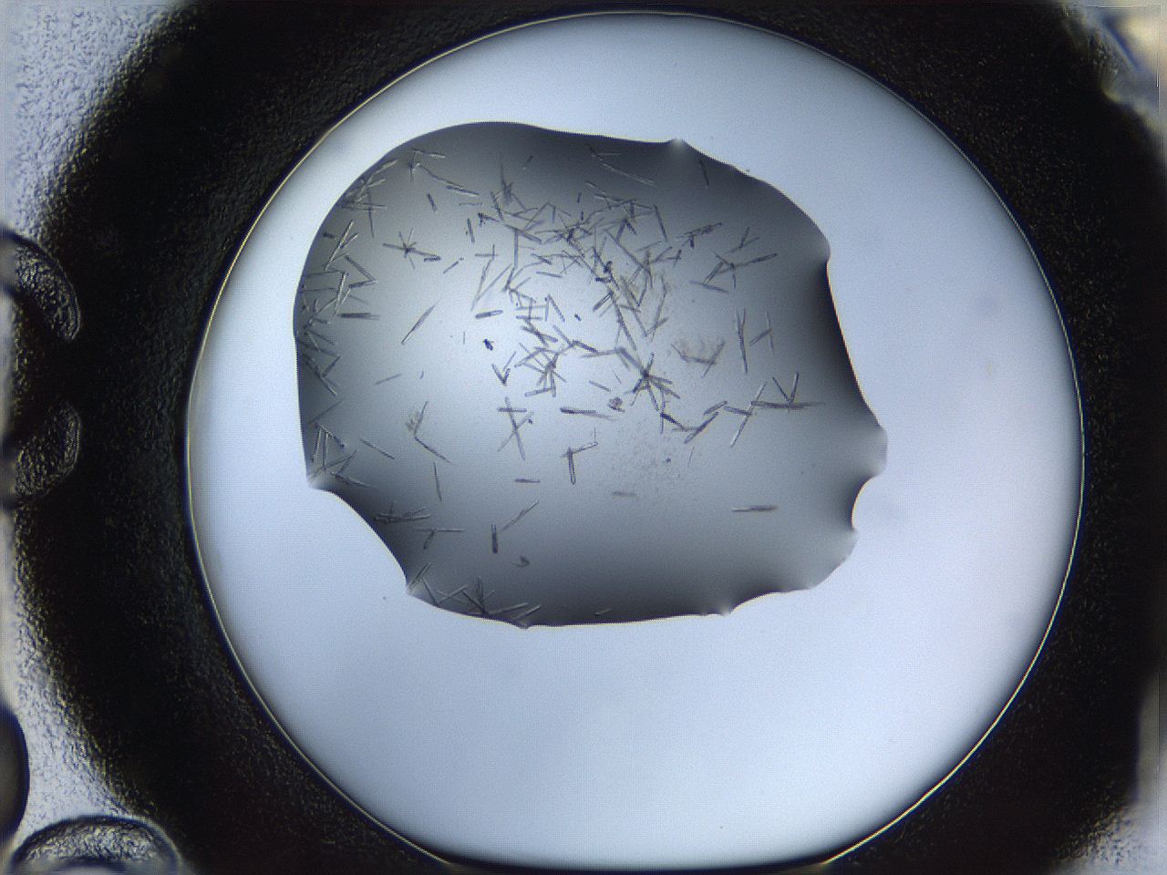 05m3_C12_ImagerDefaults_6.jpg