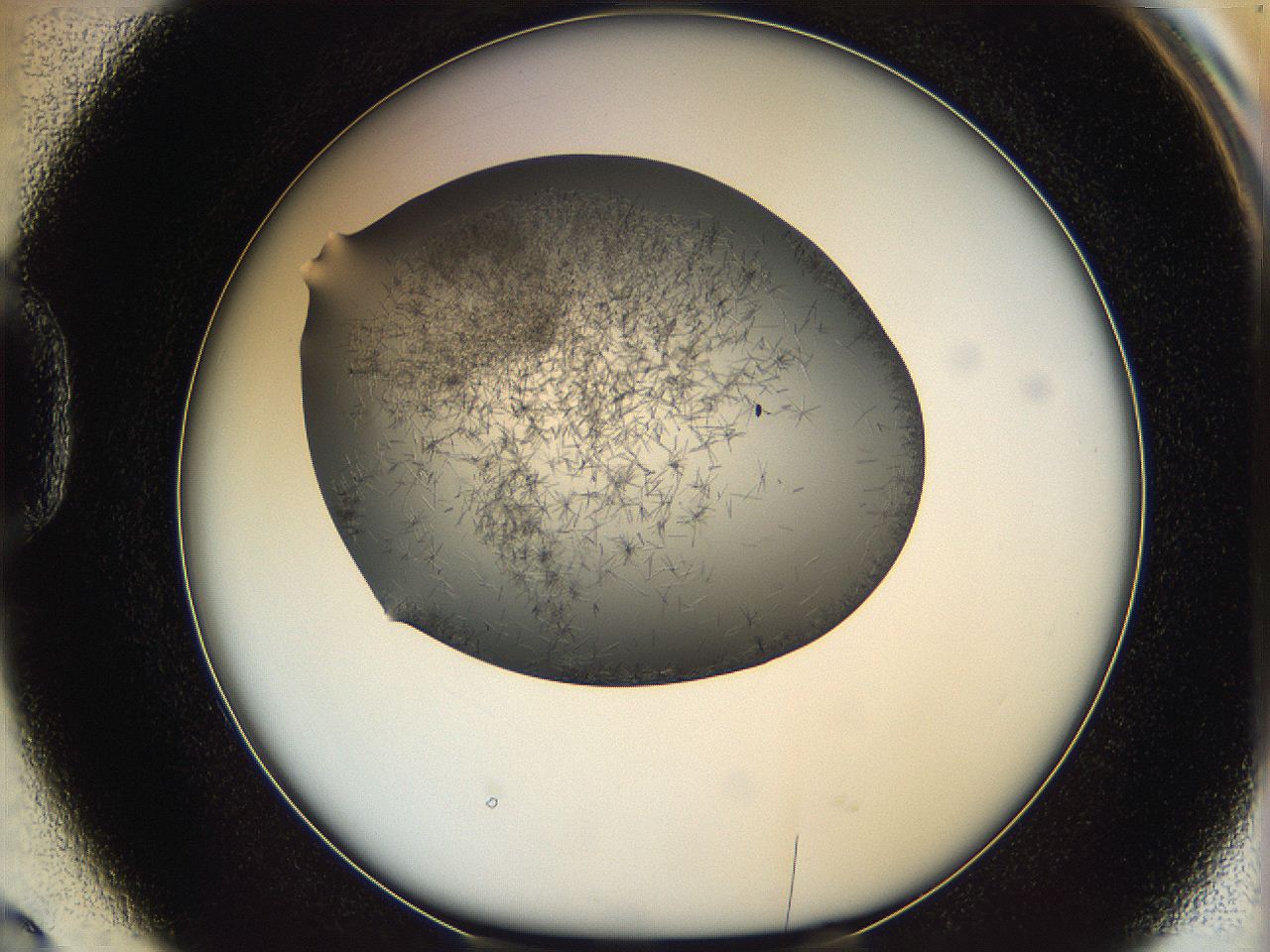 05m3_D2_ImagerDefaults_6.jpg
