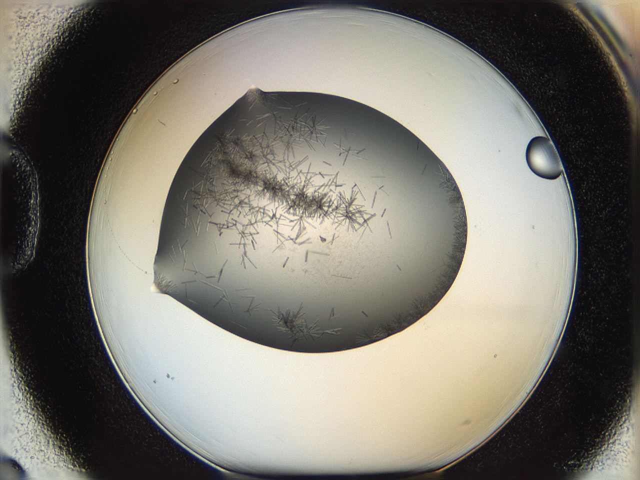 05m3_D3_ImagerDefaults_6.jpg