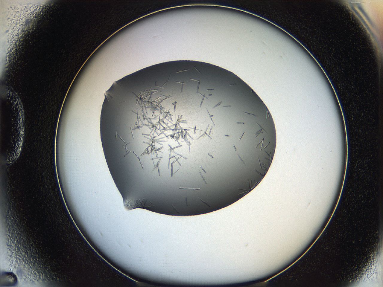 05m3_D5_ImagerDefaults_6.jpg