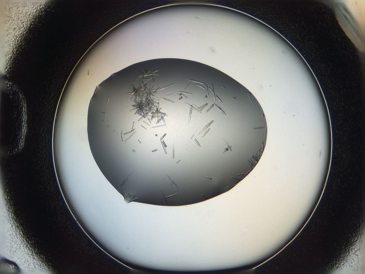 05m3_D6_ImagerDefaults_6.jpg