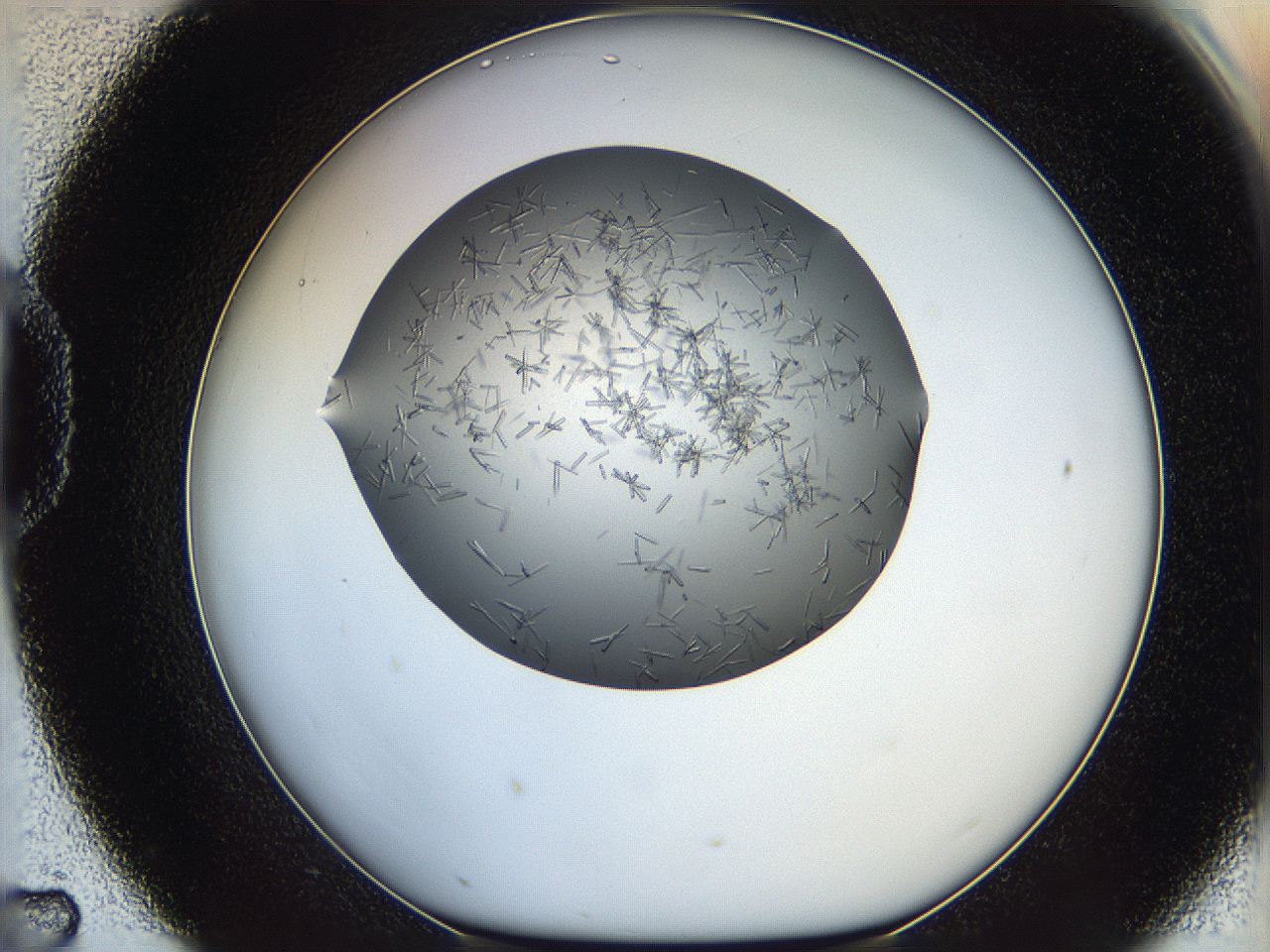 05m3_D7_ImagerDefaults_7.jpg